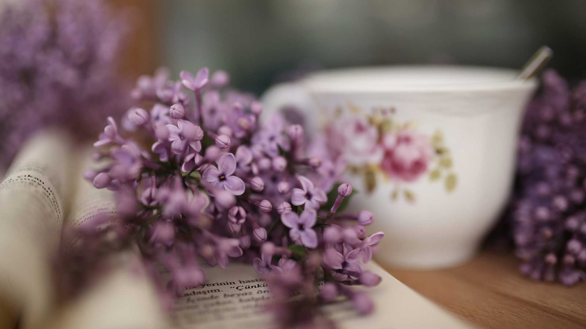 banner-2